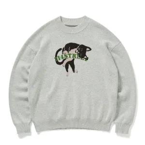 Animal hemp fabric knit sweater   N2597